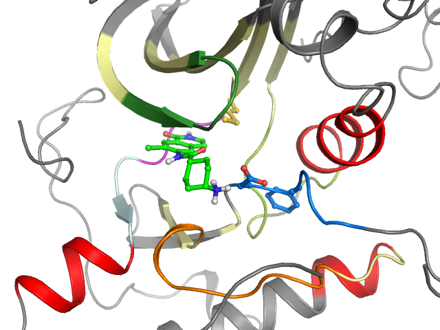 The orthosteric binding pocket
