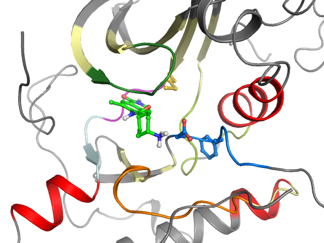 The orthosteric binding pocket