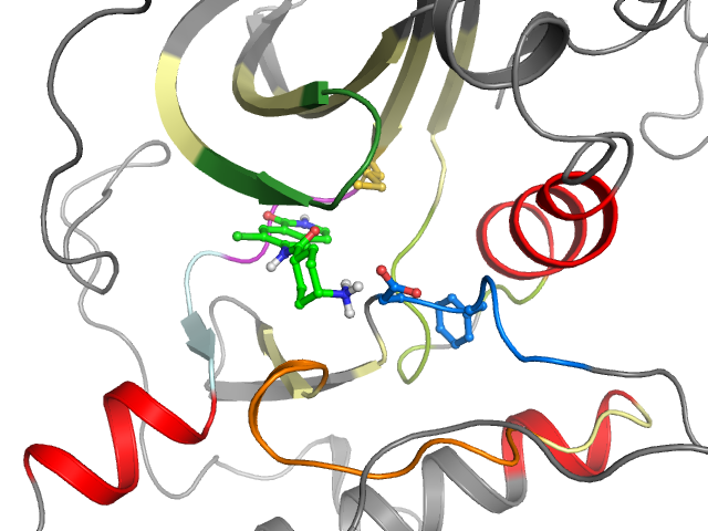 The orthosteric binding pocket