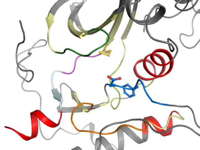 The orthosteric binding pocket