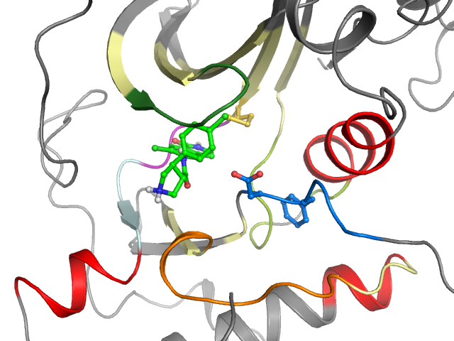 The orthosteric binding pocket