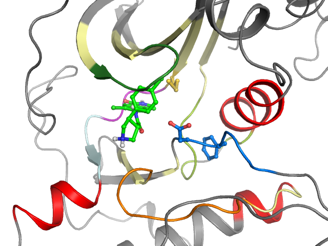 The orthosteric binding pocket