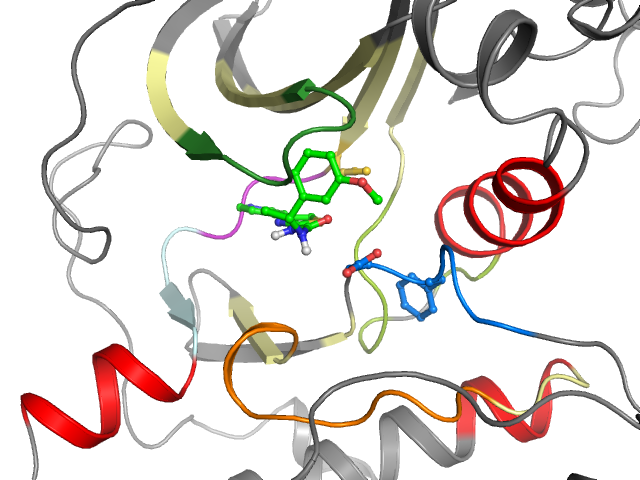 The orthosteric binding pocket