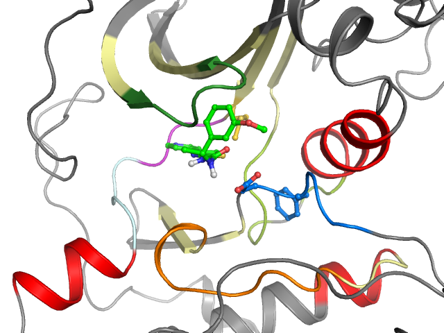 The orthosteric binding pocket