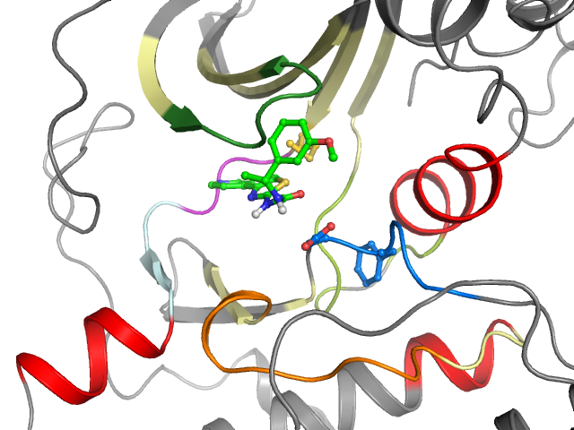 The orthosteric binding pocket