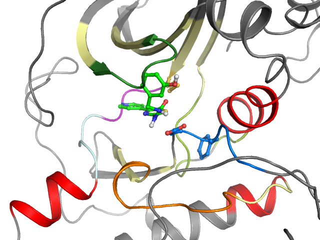 The orthosteric binding pocket