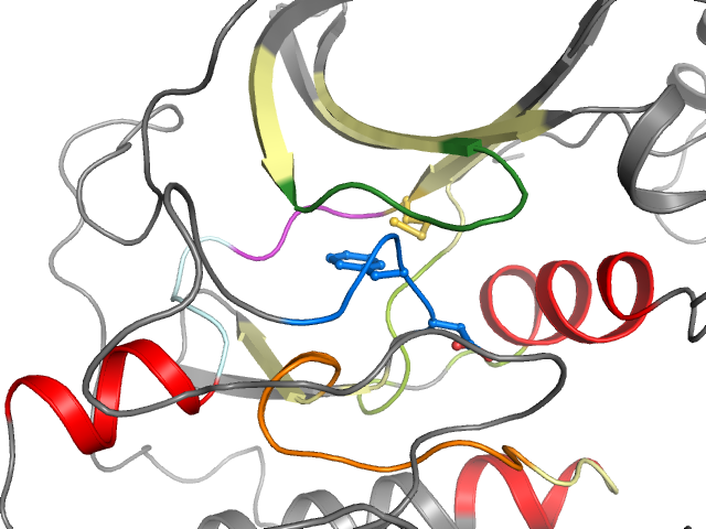 The orthosteric binding pocket