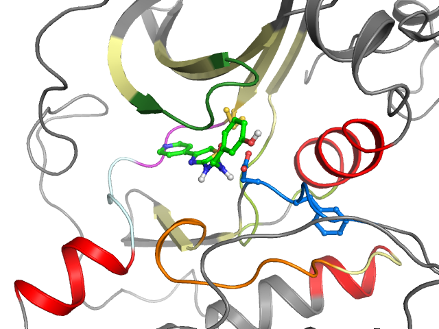 The orthosteric binding pocket