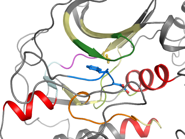 The orthosteric binding pocket
