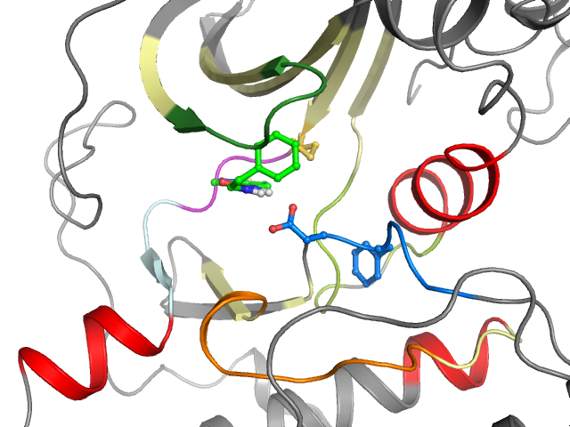 The orthosteric binding pocket