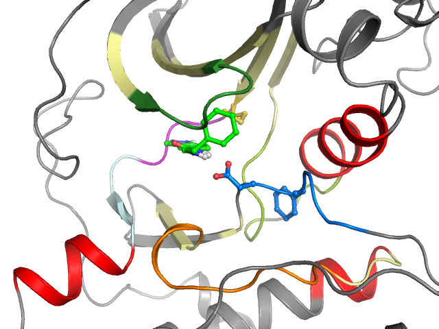 The orthosteric binding pocket