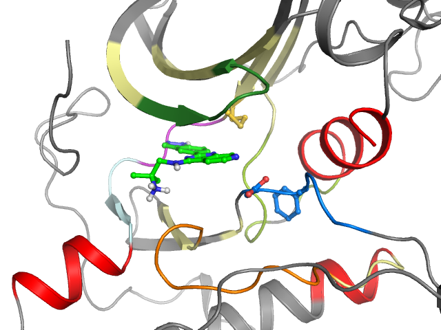 The orthosteric binding pocket