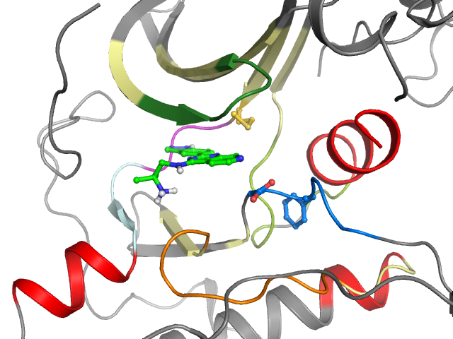 The orthosteric binding pocket