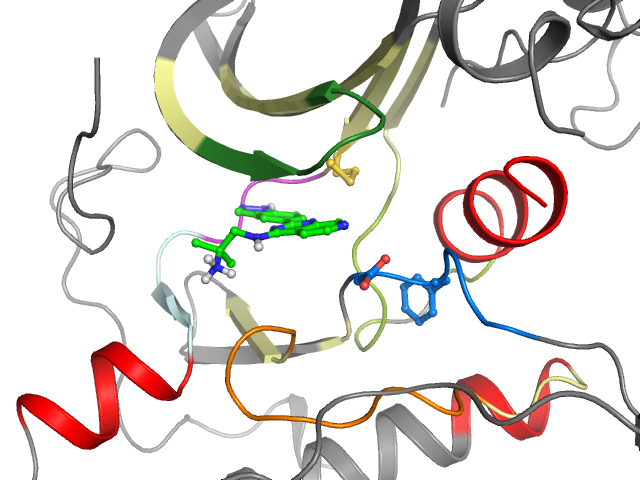 The orthosteric binding pocket