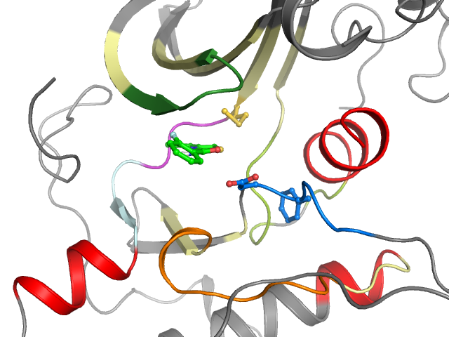 The orthosteric binding pocket