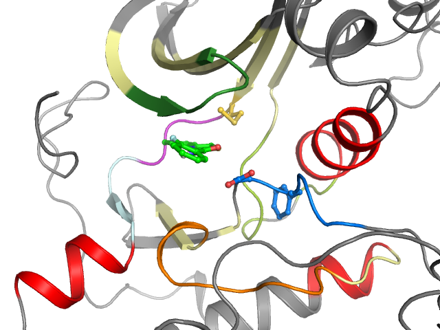 The orthosteric binding pocket