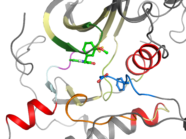 The orthosteric binding pocket