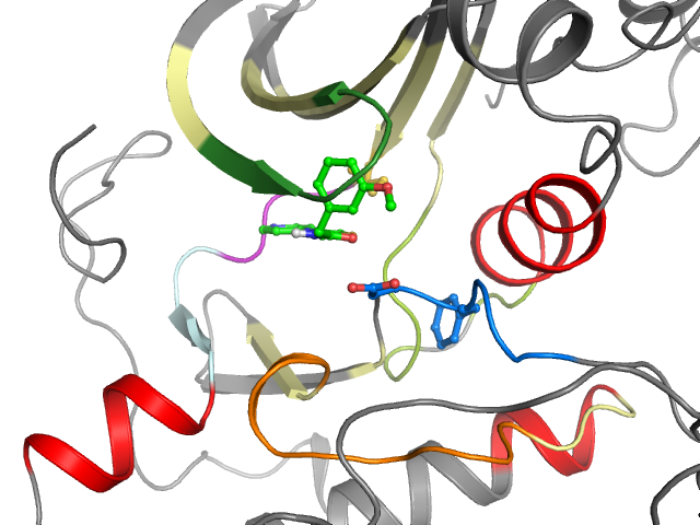The orthosteric binding pocket