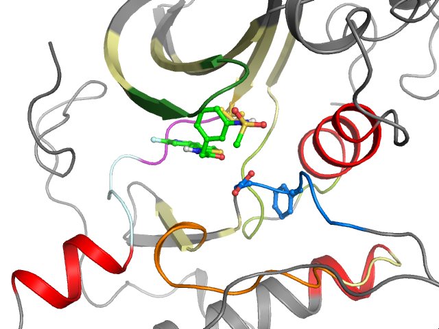 The orthosteric binding pocket