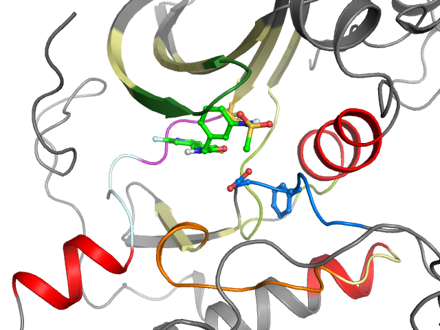 The orthosteric binding pocket