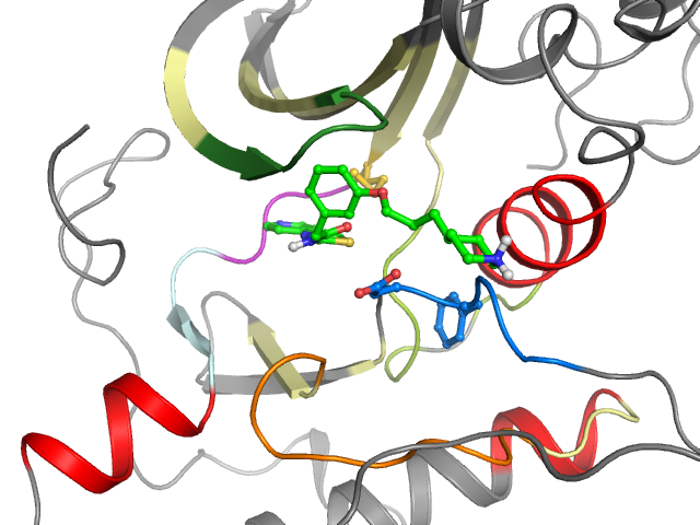 The orthosteric binding pocket