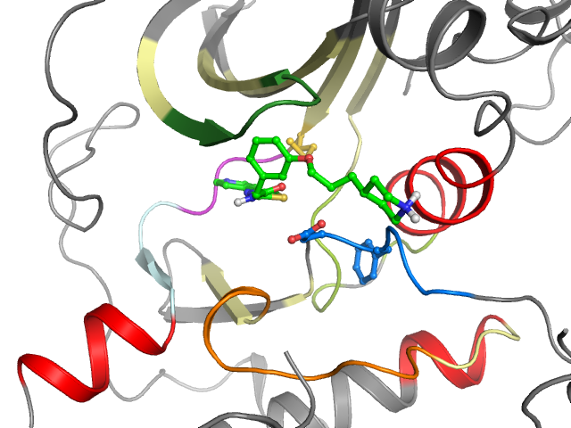 The orthosteric binding pocket