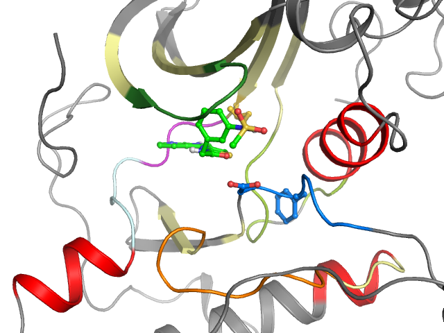 The orthosteric binding pocket