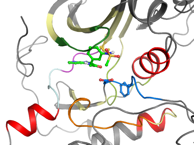 The orthosteric binding pocket