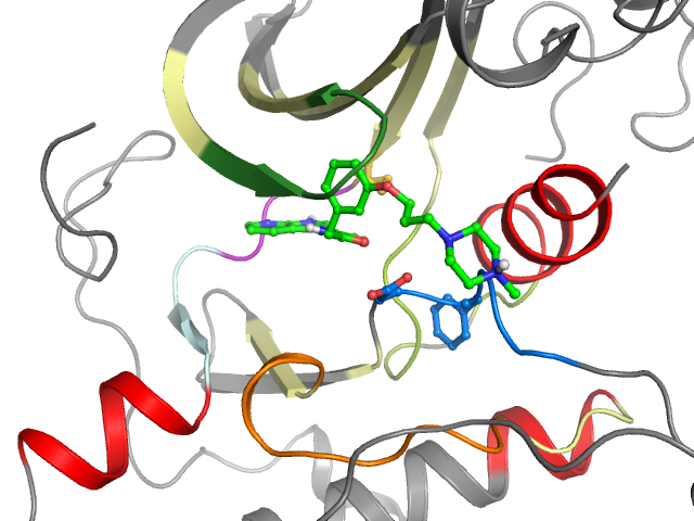 The orthosteric binding pocket