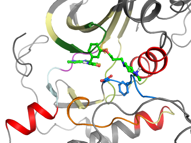 The orthosteric binding pocket