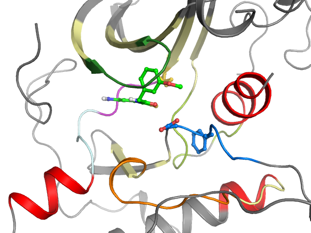 The orthosteric binding pocket