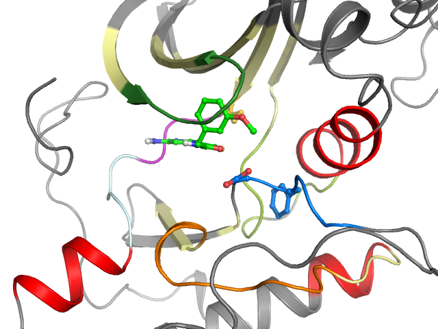 The orthosteric binding pocket