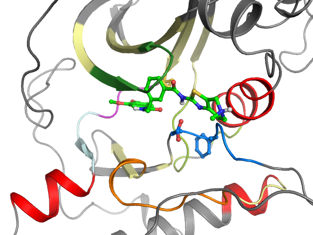 The orthosteric binding pocket