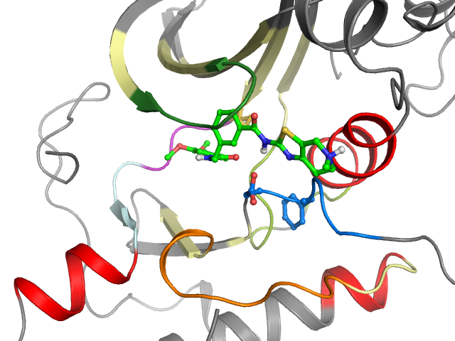 The orthosteric binding pocket
