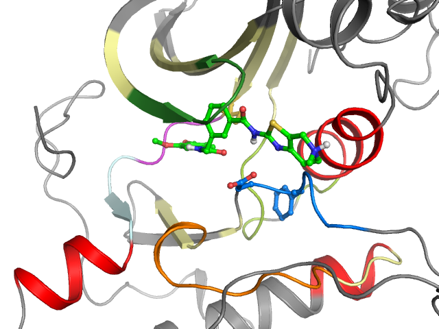 The orthosteric binding pocket