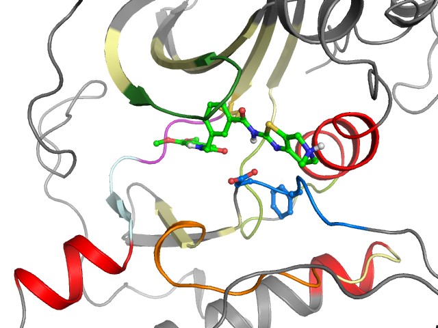 The orthosteric binding pocket