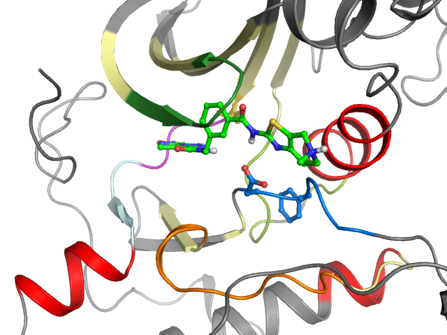 The orthosteric binding pocket