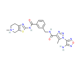 2D structure of the orthosteric ligand