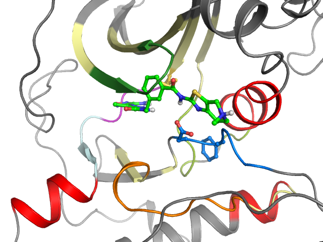 The orthosteric binding pocket