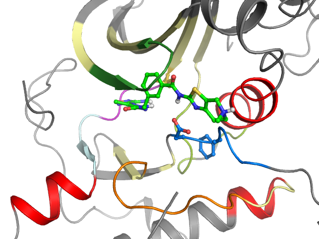 The orthosteric binding pocket