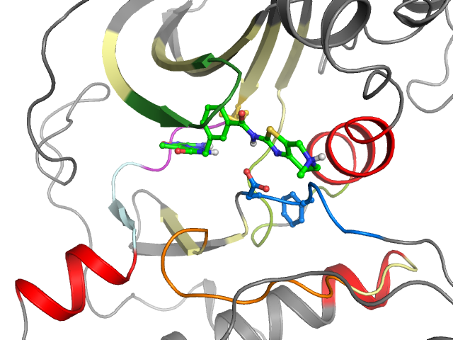 The orthosteric binding pocket