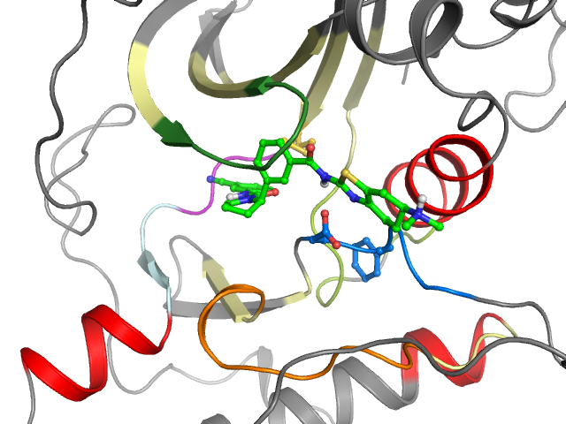 The orthosteric binding pocket
