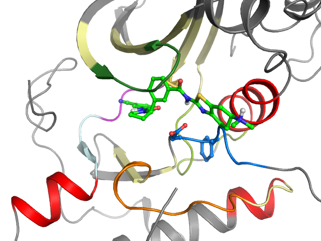 The orthosteric binding pocket
