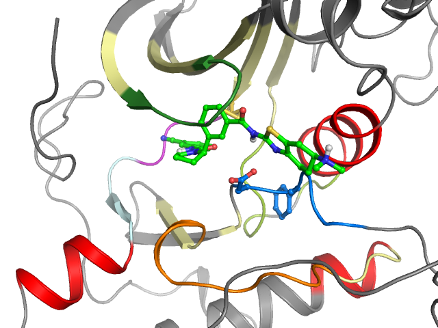 The orthosteric binding pocket