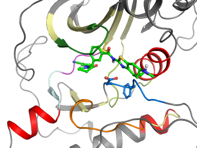 The orthosteric binding pocket
