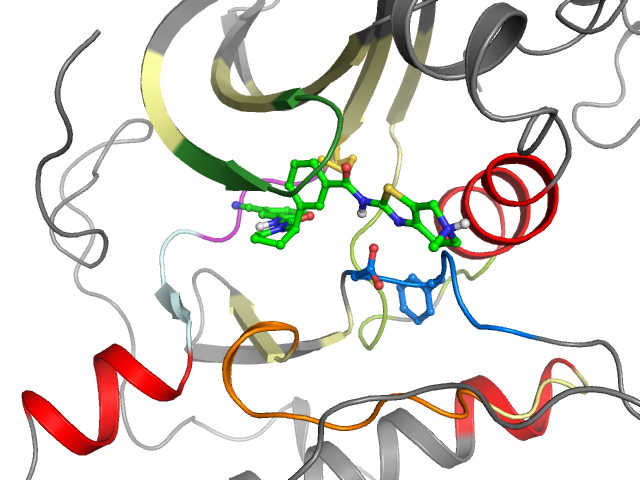 The orthosteric binding pocket