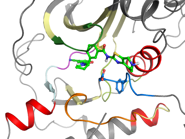 The orthosteric binding pocket
