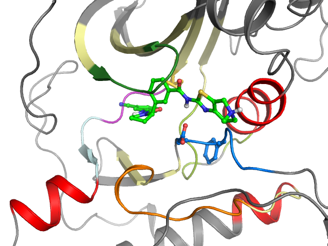 The orthosteric binding pocket