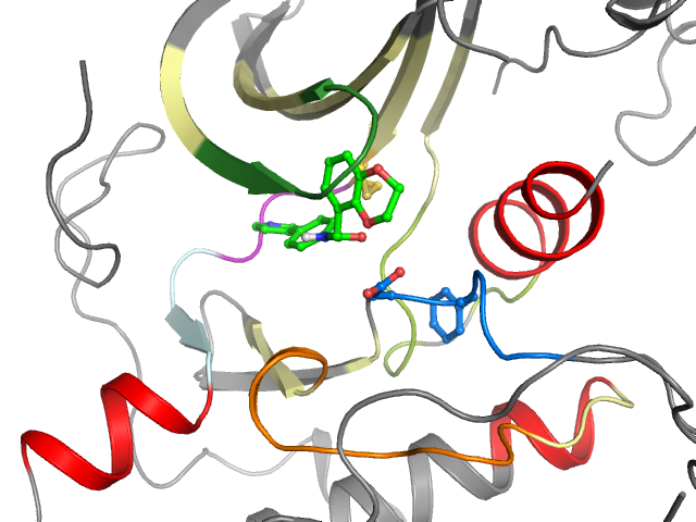 The orthosteric binding pocket