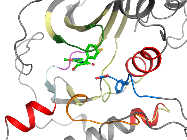 The orthosteric binding pocket